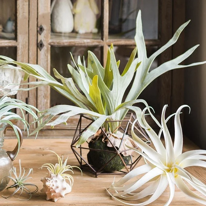Artificial Faux Plant Staghorn Fern Décor - Istanbullu