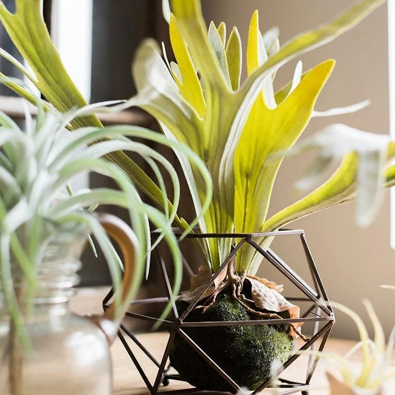 Artificial Faux Plant Staghorn Fern Décor - Istanbullu