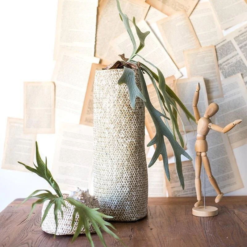 Artificial Faux Plant Staghorn Fern Décor - Istanbullu