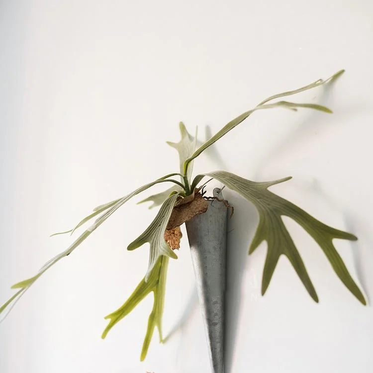 Artificial Faux Plant Staghorn Fern Décor - Istanbullu