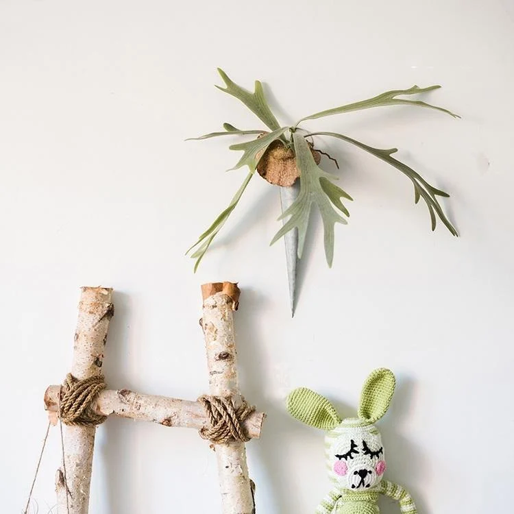 Artificial Faux Plant Staghorn Fern Décor - Istanbullu