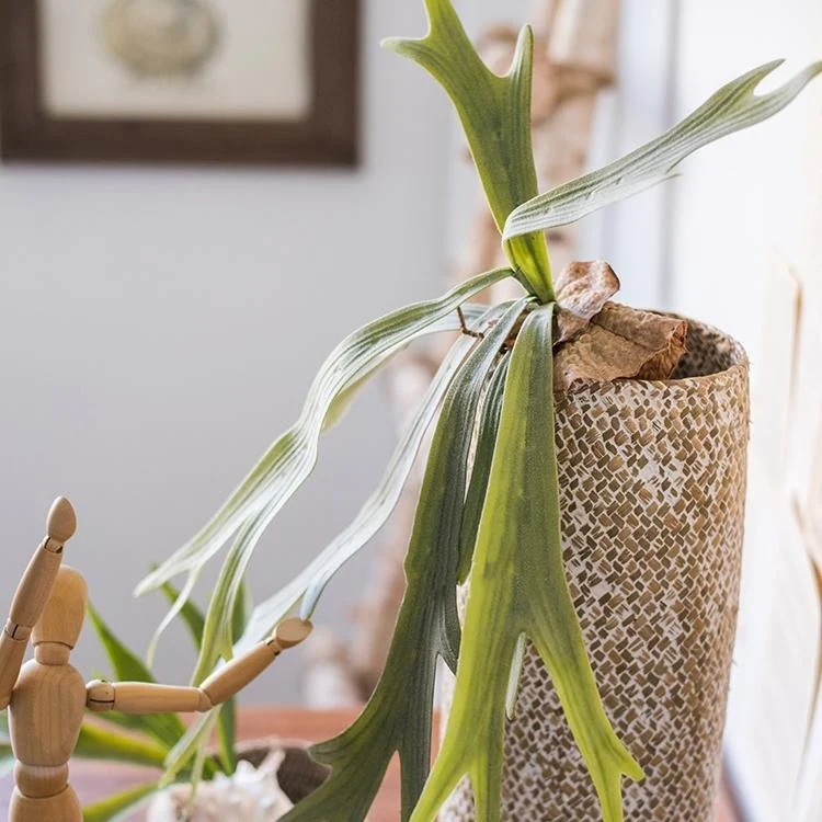 Artificial Faux Plant Staghorn Fern Décor - Istanbullu